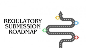 Creating a Regulatory Submission Roadmap: Timelines & Milestones | BioBoston Consulting