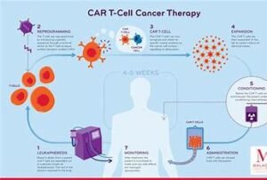 "Flow cytometry analysis of CAR T cell therapies"