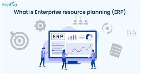 "Diagram illustrating ERP validation process"