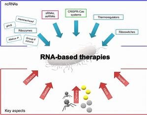 Key Challenges in Scaling Up mRNA Therapeutics Production