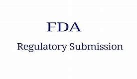 "Overview of the FDA regulatory submission process"