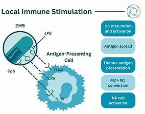  "BioBoston Consulting experts guiding mRNA regulatory compliance" 