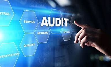 "Internal auditors ensuring compliance and quality management in life sciences."