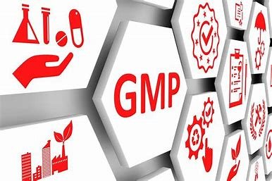 Introduction: The Importance of GMP in Life Sciences