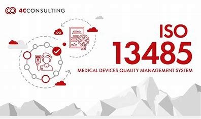 "Team implementing Quality Management System for ISO 13485 certification."