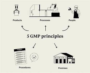 : Overview of Good Manufacturing Practices (GMP) 