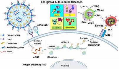 “mRNA immunotherapy quality management processes.”