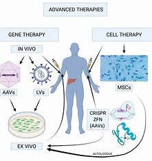 Importance of Compliance in Gene Therapy Development 