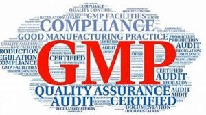 The Importance of GMP Training for Employees