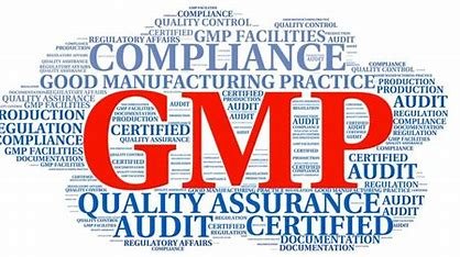 The Importance of GMP Training for Employees