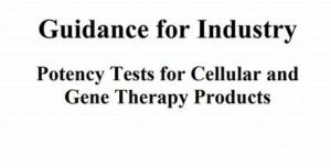 Potency Tests for Cellular and Gene Therapy Products: