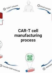 "Regulatory Pathways for Advanced Therapies in Oncology"