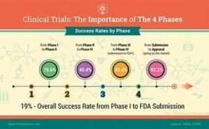 “Diagram of Phase 2 to Phase 3 clinical trial transition”