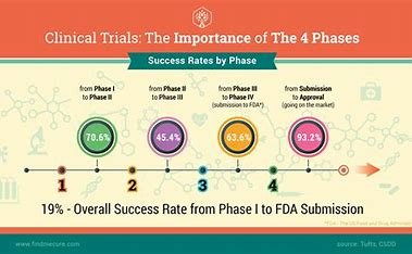 “Diagram of Phase 2 to Phase 3 clinical trial transition”