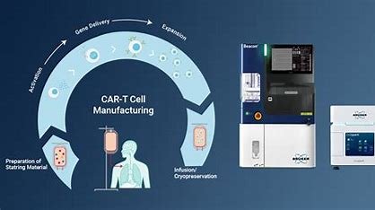 Key Challenges in CAR T Cell Manufacturing 