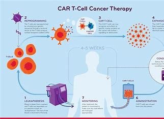 "The Future of CAR T Cell Therapy: Innovations and Challenges" 