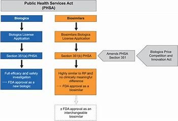 The FDA's Role in Regulating mRNA Therapies