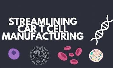 The Importance of Manufacturing in CAR T Cell Therapy