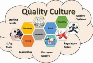 What is Quality Culture?