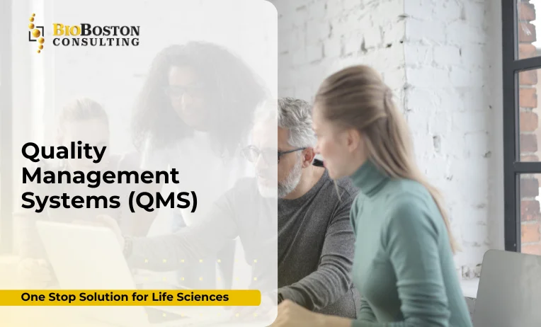 ISO 13485:2016 Certification for Medical Device Manufacturers 8 Quality Management Systems QMS 5.docx 1 1