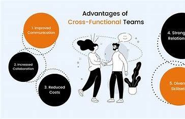 "Cross-functional team leadership in biotech"