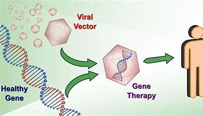 Safety and efficacy in gene therapy