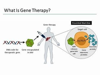 Key Components of Preclinical Development 