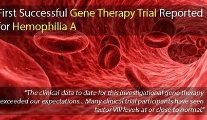 "Preclinical Studies in Gene Therapy for Hemophilia"