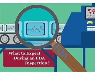 "FDA Inspection Process Diagram"