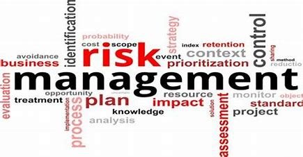 Project and Risk Management Strategies for Business Success