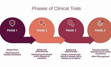 Early-phase clinical trial team discussing safety and tolerability in CGT product testing