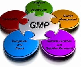 Understanding cGMP: A Framework for Drug Safety and Quality