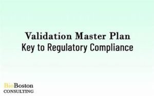 "Flowchart of the Validation Master Plan (VMP) process in life sciences."