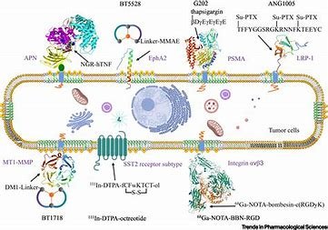 “Improving the Safety and Efficacy of Drugs with Novel Delivery Systems” 