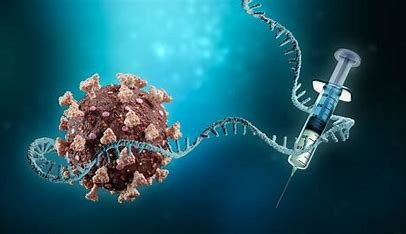 "Flowchart of Risk-Based Approach in mRNA Vaccine Development."