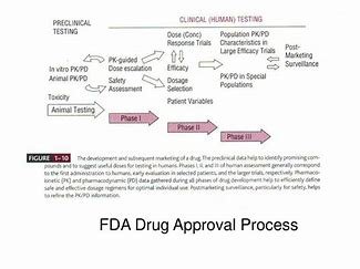 Clinical trials (Phase 1, Phase 2, Phase 3) 