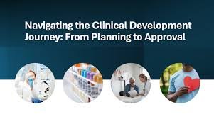 "Clinical trials process in drug development, including various phases and innovations in research"