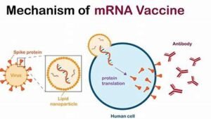 Continuous Compliance throughout the Vaccine Lifecycle