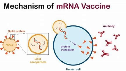 Continuous Compliance throughout the Vaccine Lifecycle