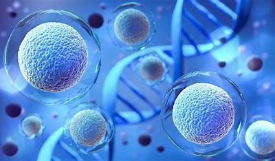 "Diagram of the Umbrella Protocol in Cellular and Gene Therapy Trials."