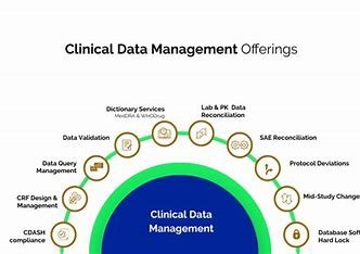 "Blockchain in clinical trials" 