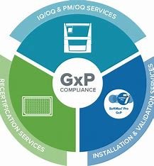  "Training and Education: Ensuring GxP Knowledge Across Teams" 