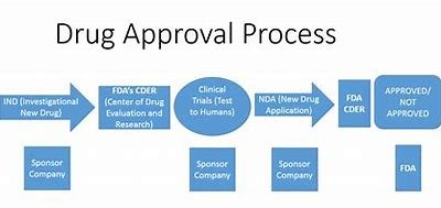 "preclinical testing FDA" 