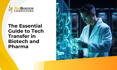 "Tech transfer process in biotech manufacturing"