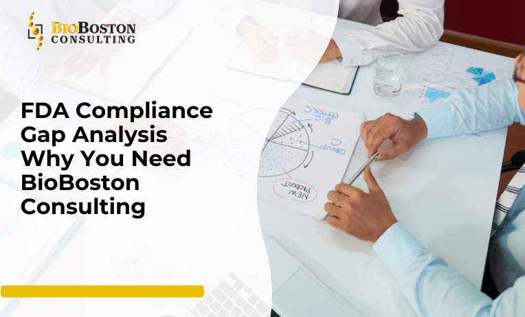 “FDA Compliance Gap Analysis by BioBoston Consulting”