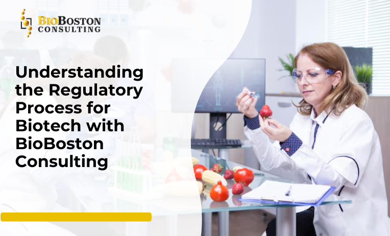 How BioBoston Consulting Helps Biotech Companies with Regulatory Compliance