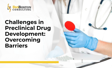 Preclinical drug development process