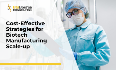 Biotech Manufacturing Scale-Up