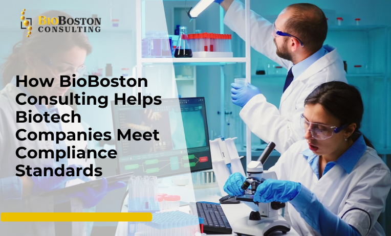 "BioBoston Consulting team discussing biotech compliance standards."