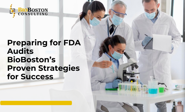 "BioBoston Consulting team conducting FDA audit simulation"